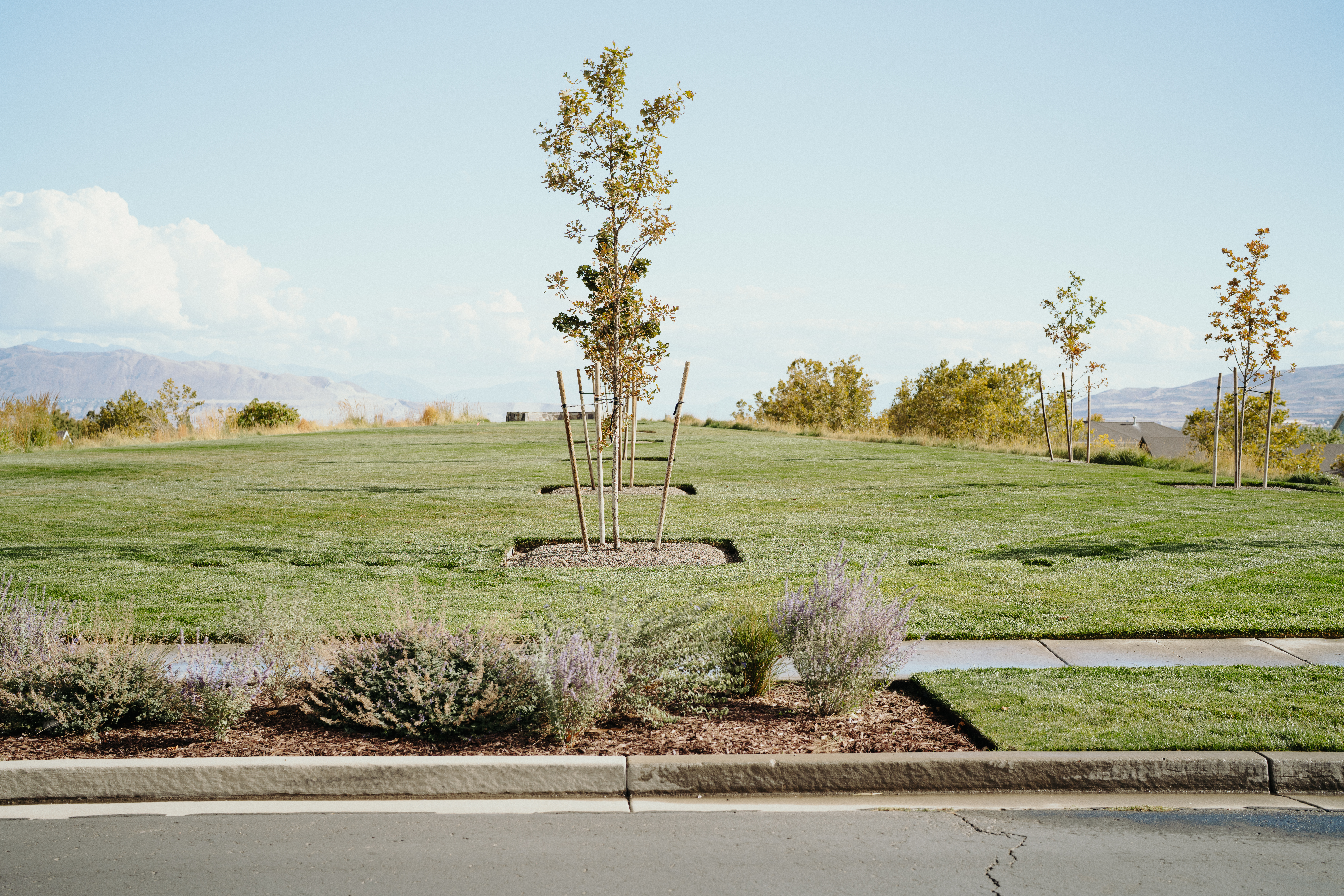 commercial landscape design office complex utah