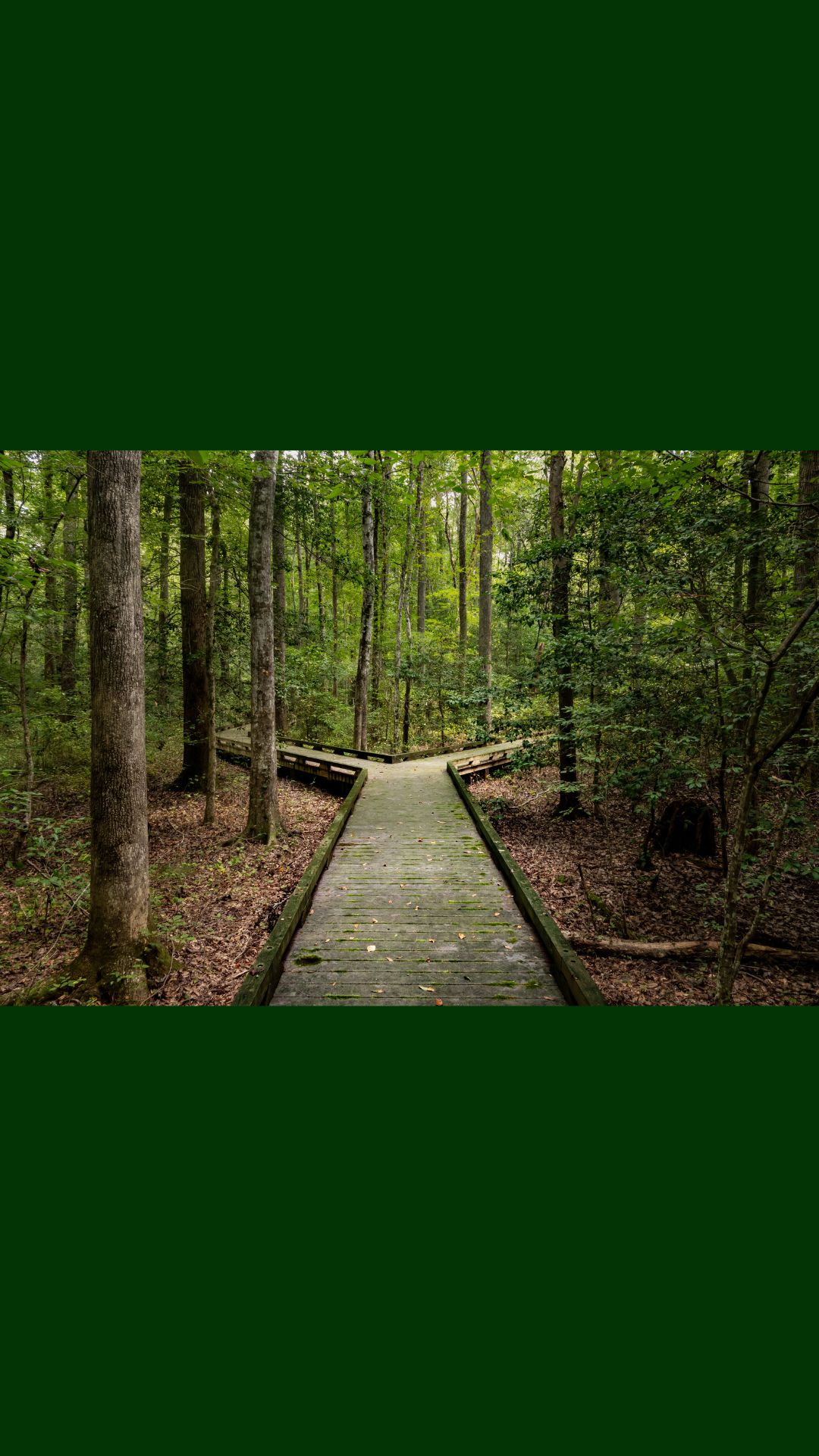 At stå ved en skillevej og træffe et valg er ikke nemt...