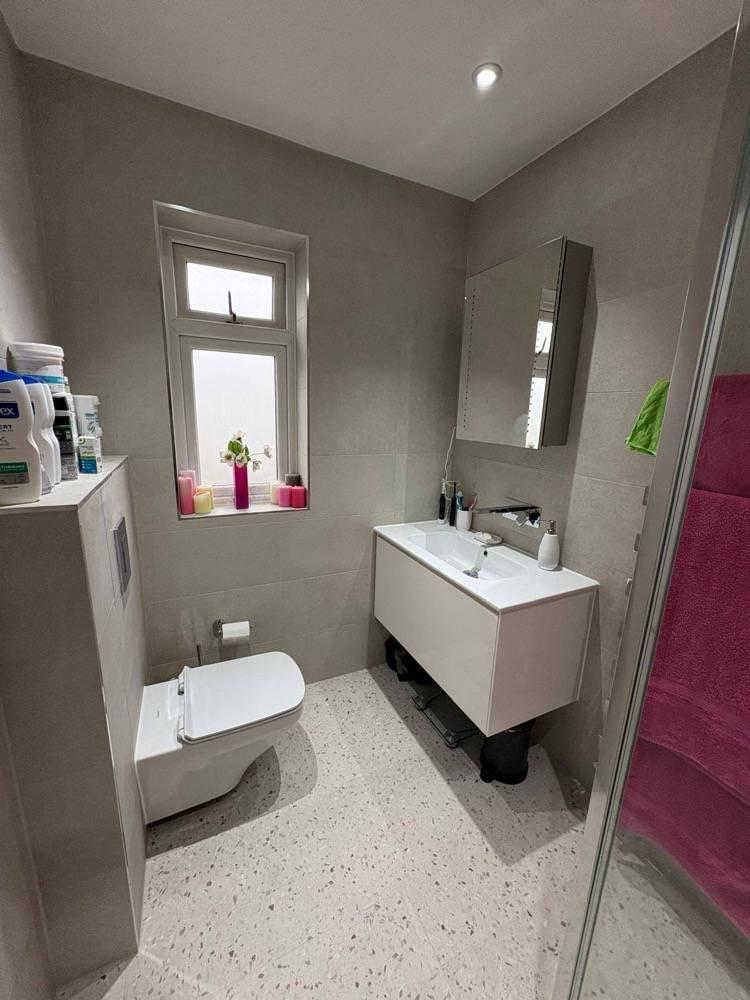 Grey wet-room style bathroom with vanity, WC and walk-in shower