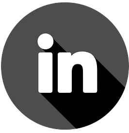 LinkedIn Button