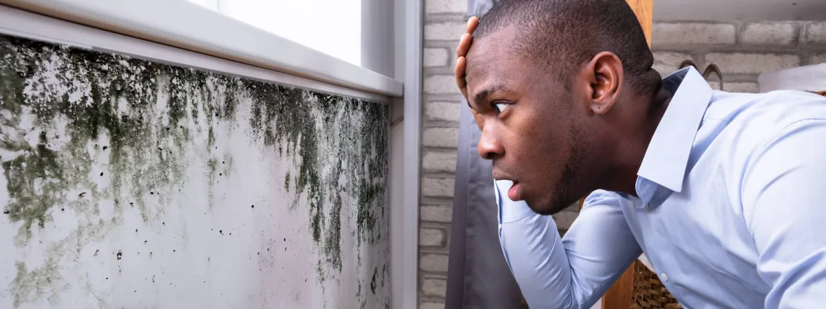 Mold in Home