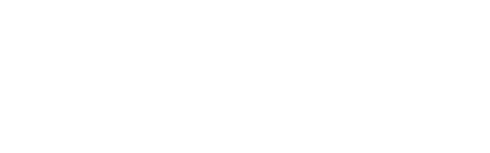 Toolbelt Handyman Near Me