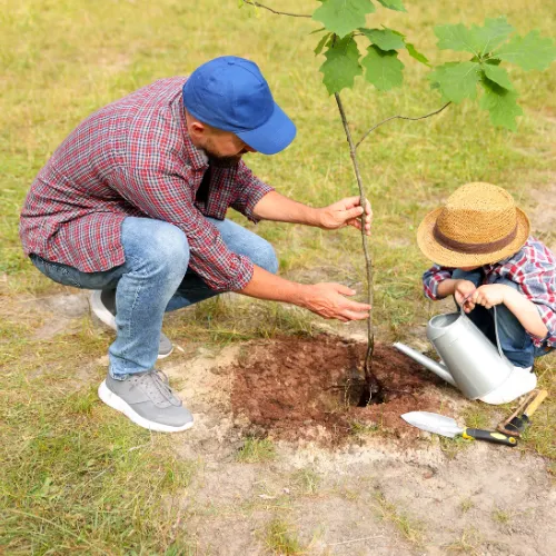 Clemmons Tree Planting