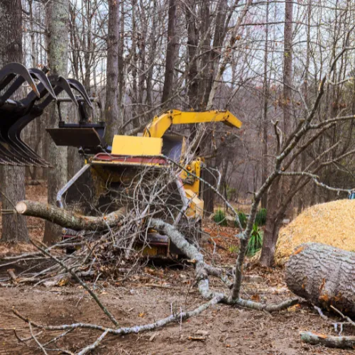 Clemmons Tree Removal
