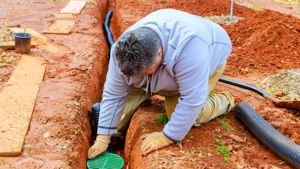 Selective Pruning in Clemmons
