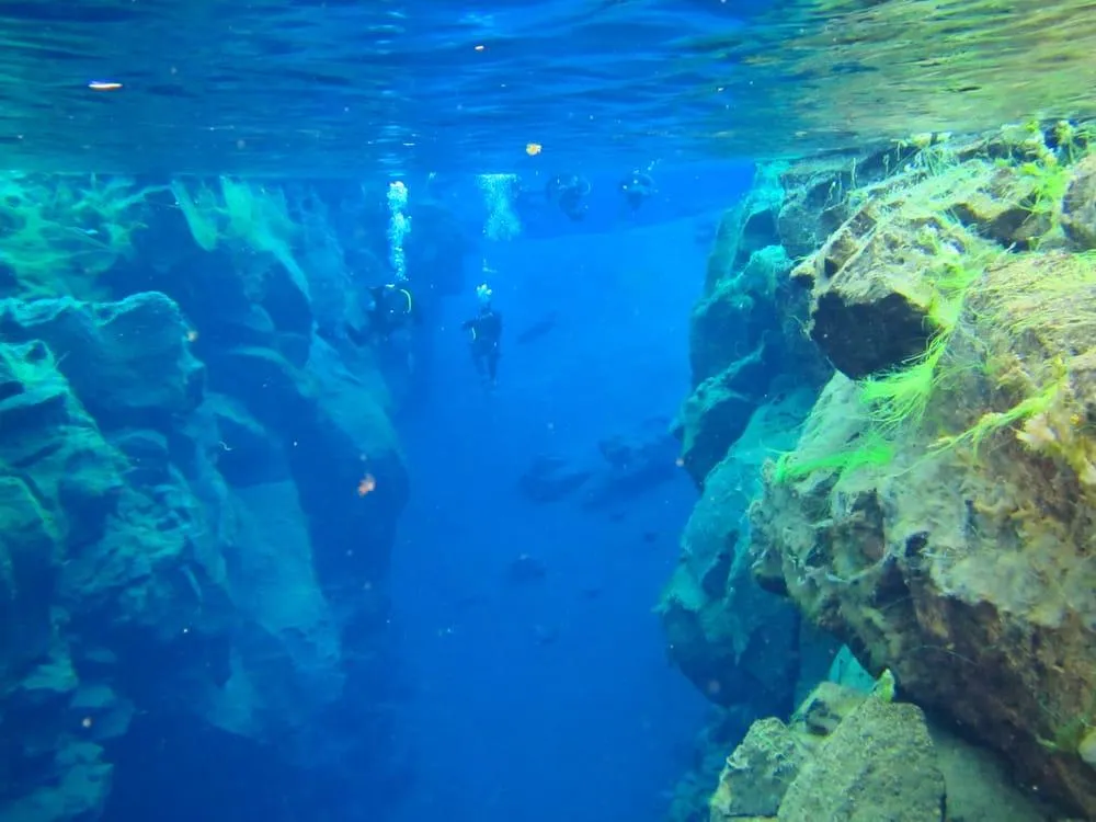 Sifra reef
