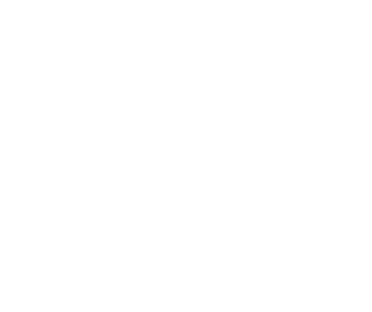 Financing Options with Viking Capital