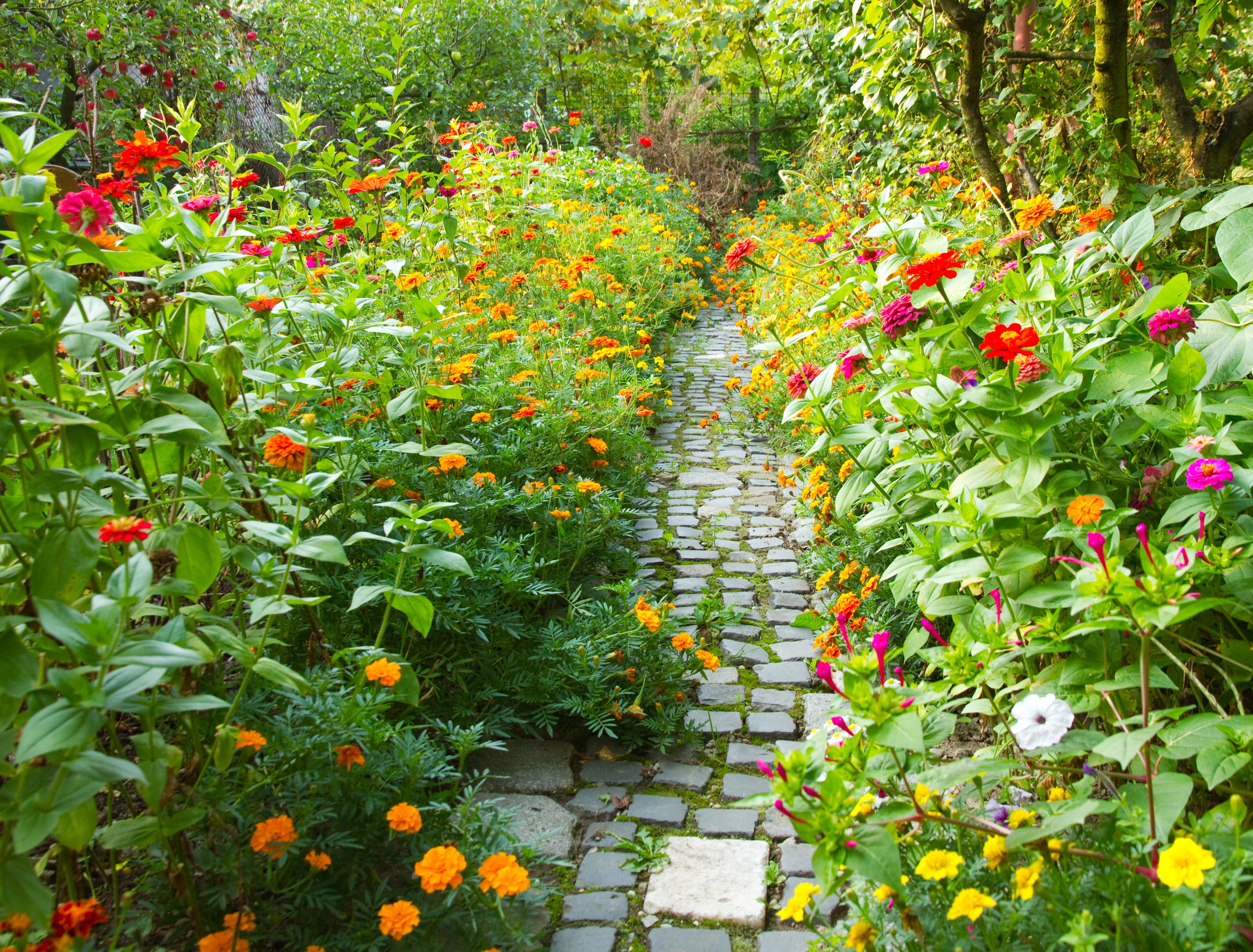 Gardening Birmingham