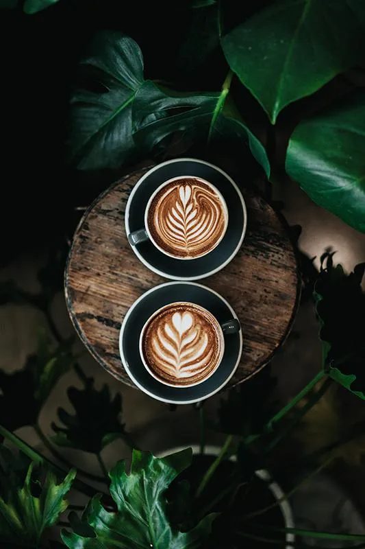 flat lay photo of a round wooden tabletop with 2 mugs of coffee with coffee art in the shape of leaves and hearts, all surrounded by dark green plants.