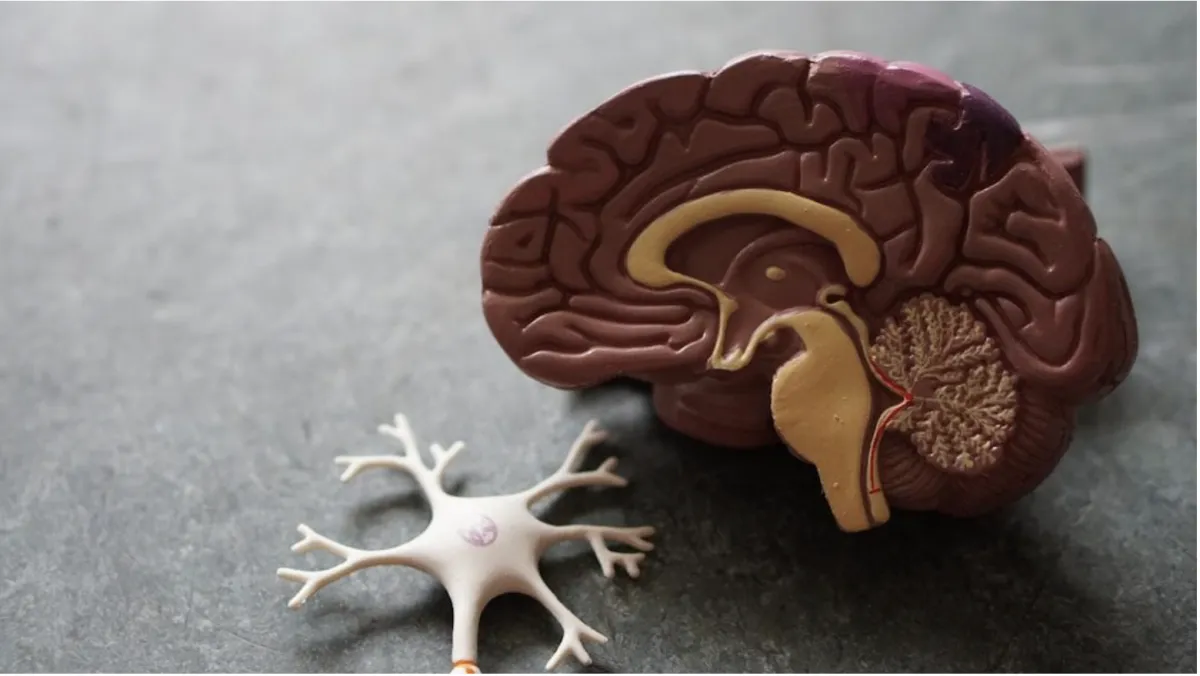 I read the study so you don’t have to: what this AUD “endocannabinoid gene rewiring” paper actually means for clinical practice