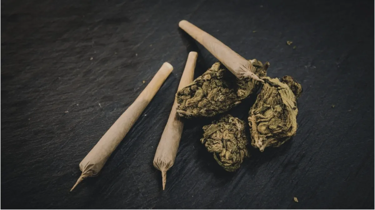 Cannabis, PTSD, and Early Recovery: Why Clients Deserve to See the Data