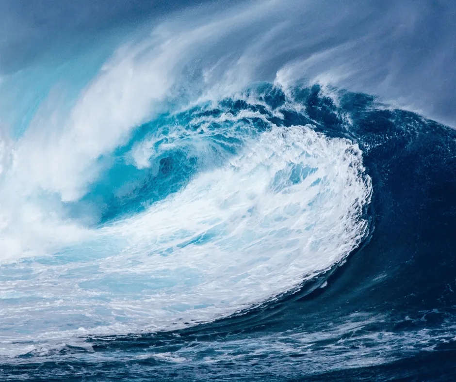 Decoding Your Stress Tolerance: Zen Master or Getting Thrashed In The Waves?