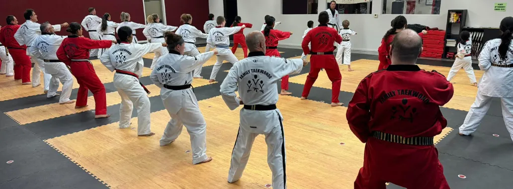 Carmichael Academy - Family Taekwondo Adult Class Photo