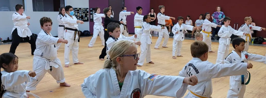 Natomas Academy - Family Taekwondo Kids Class Photo