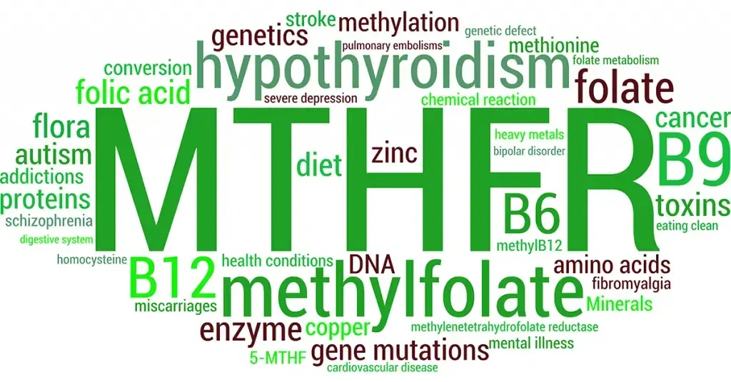 mthfr genetic testing