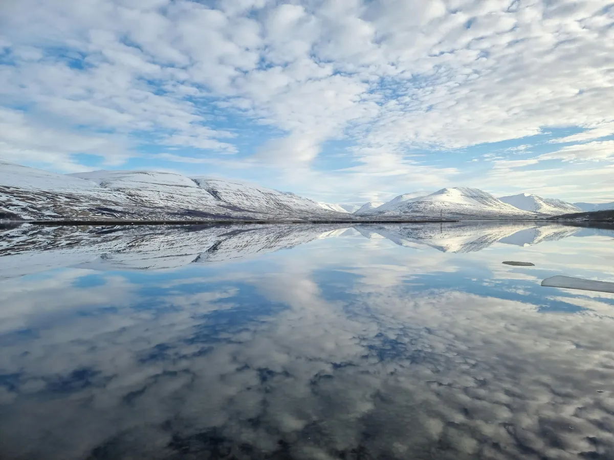 Lake Mývatn Akureyri, Iceland