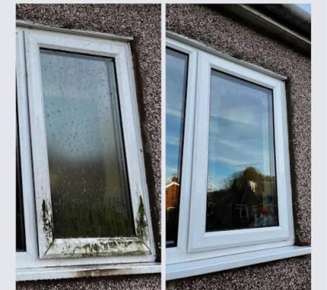 Cleaned commercial storefront sidewalk and windows