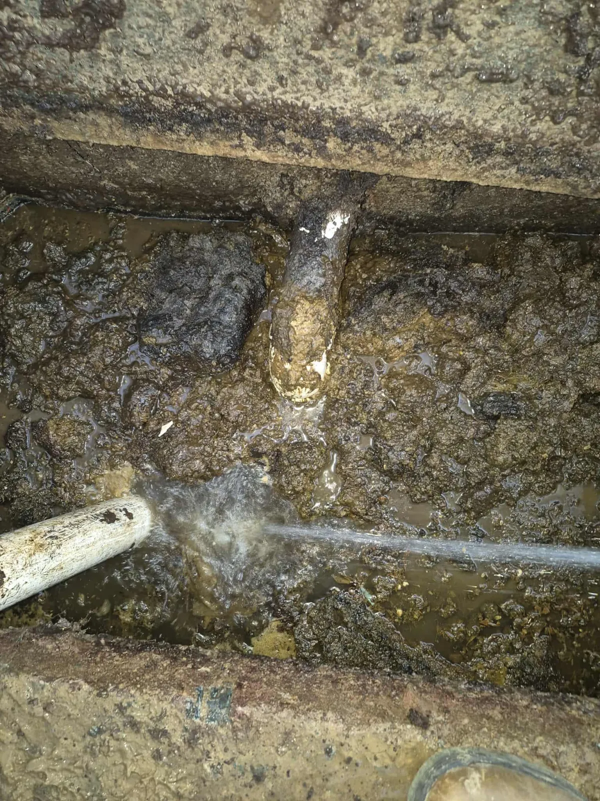 Boaz Septic Ser— Pump Chamber Alarm + Jammed Propellerice