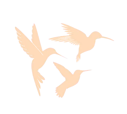 Michelle Anthony Hummingbird Logo