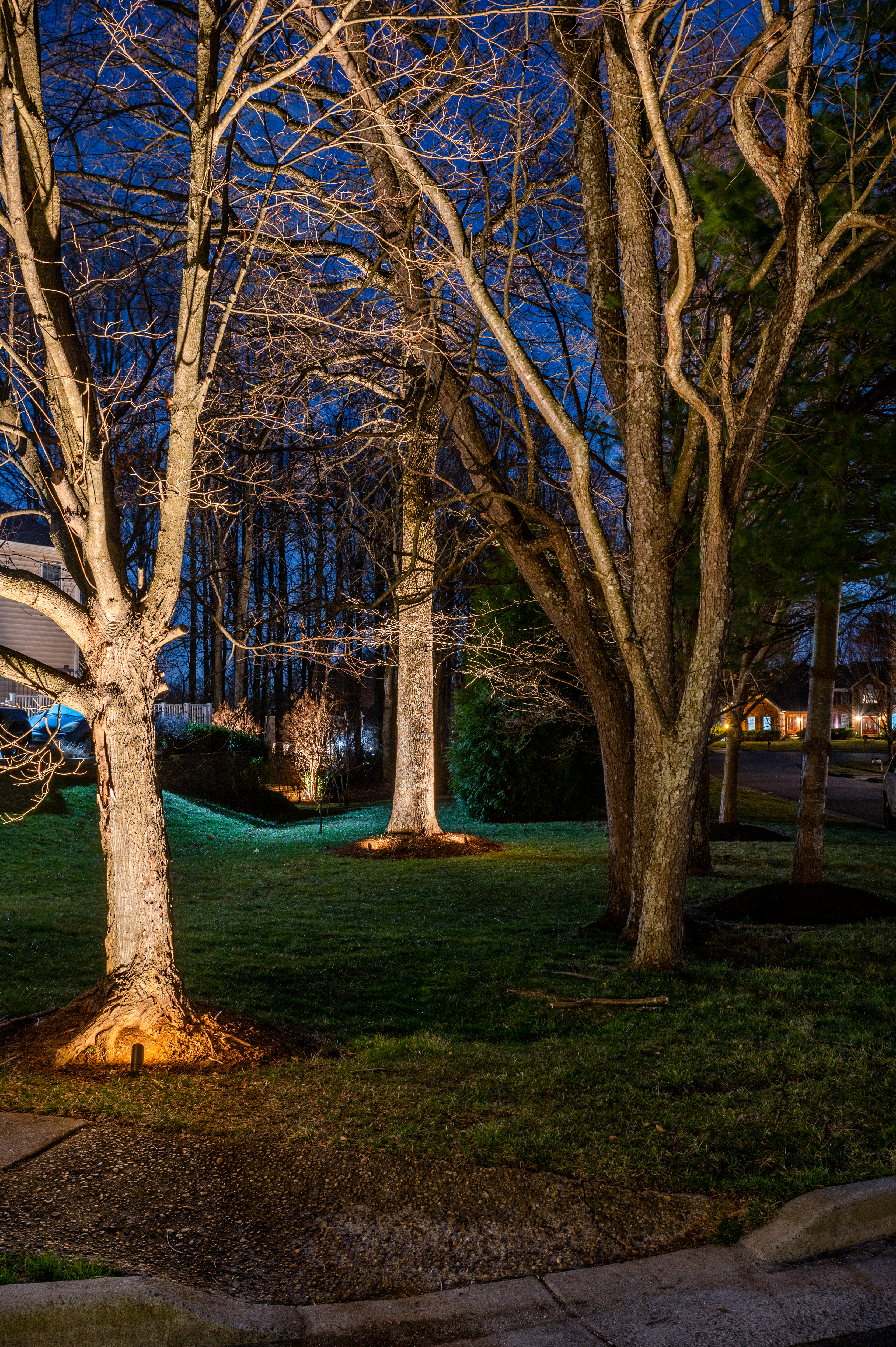 Garden Lighting Northern Virginia