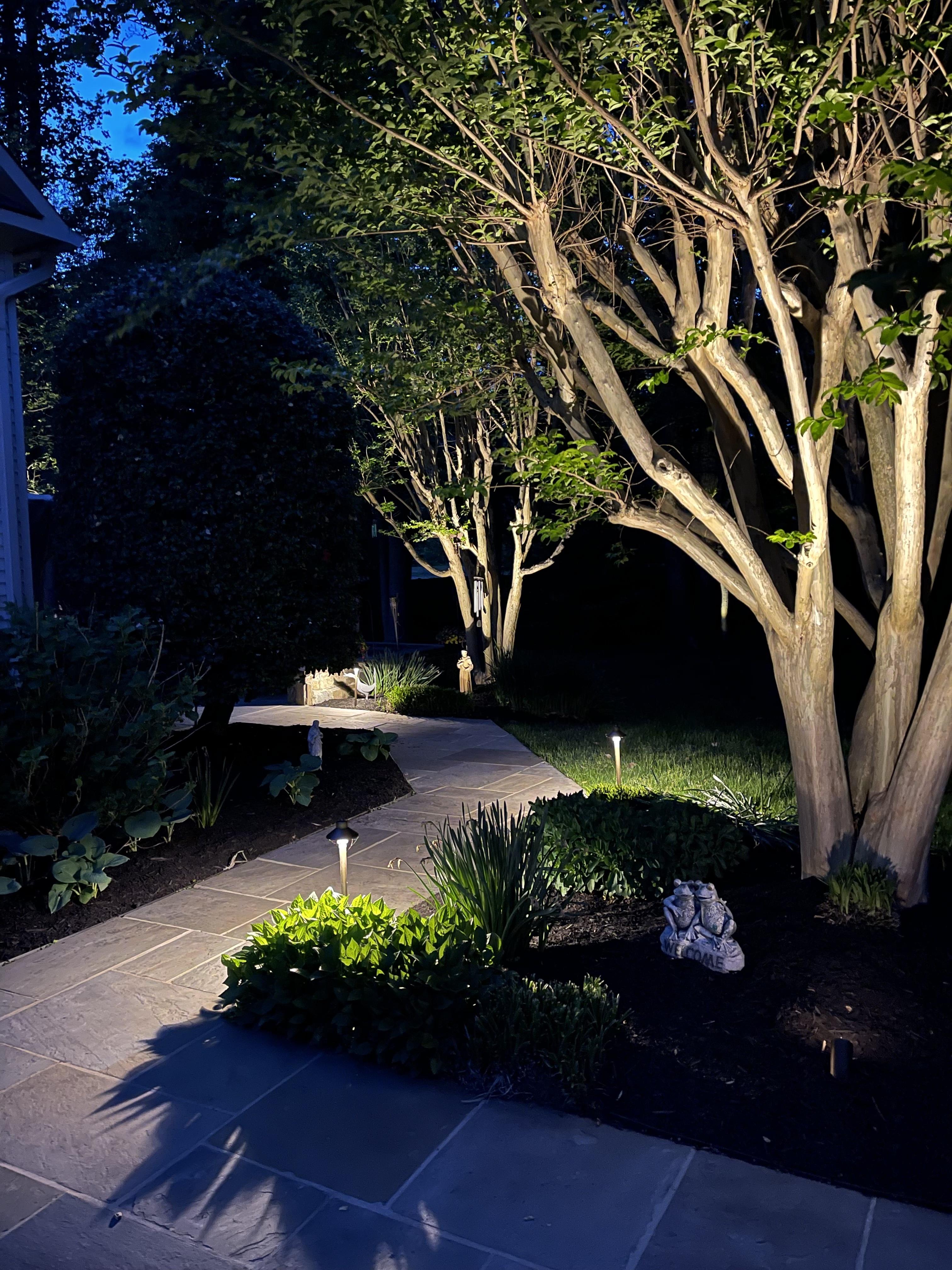 Decorative landscape lighting
