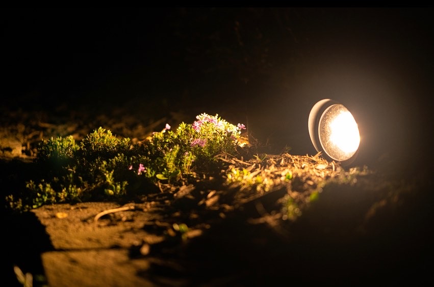 Decorative landscape lighting
