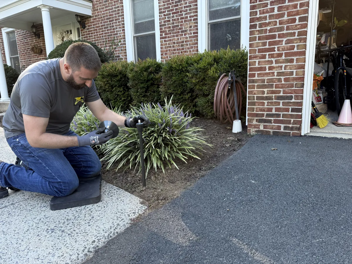 Decorative Landscape Lighting in Northern Virginia