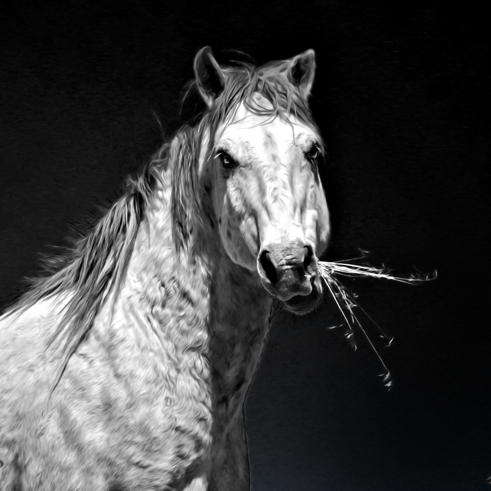 A Closer Look at Light: Photography in the Gallery
