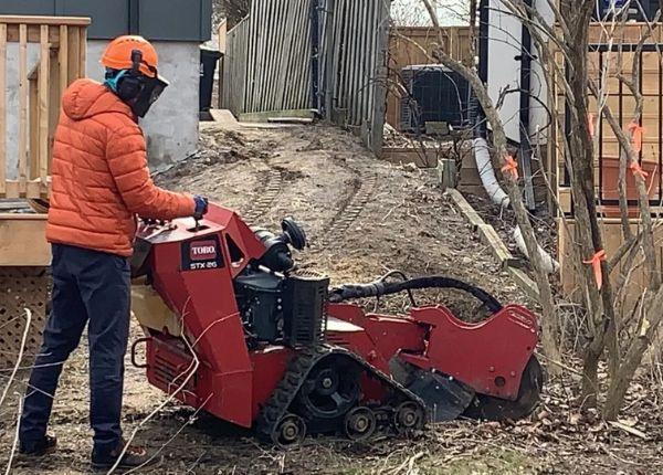 Stump Removal & Grinding Services