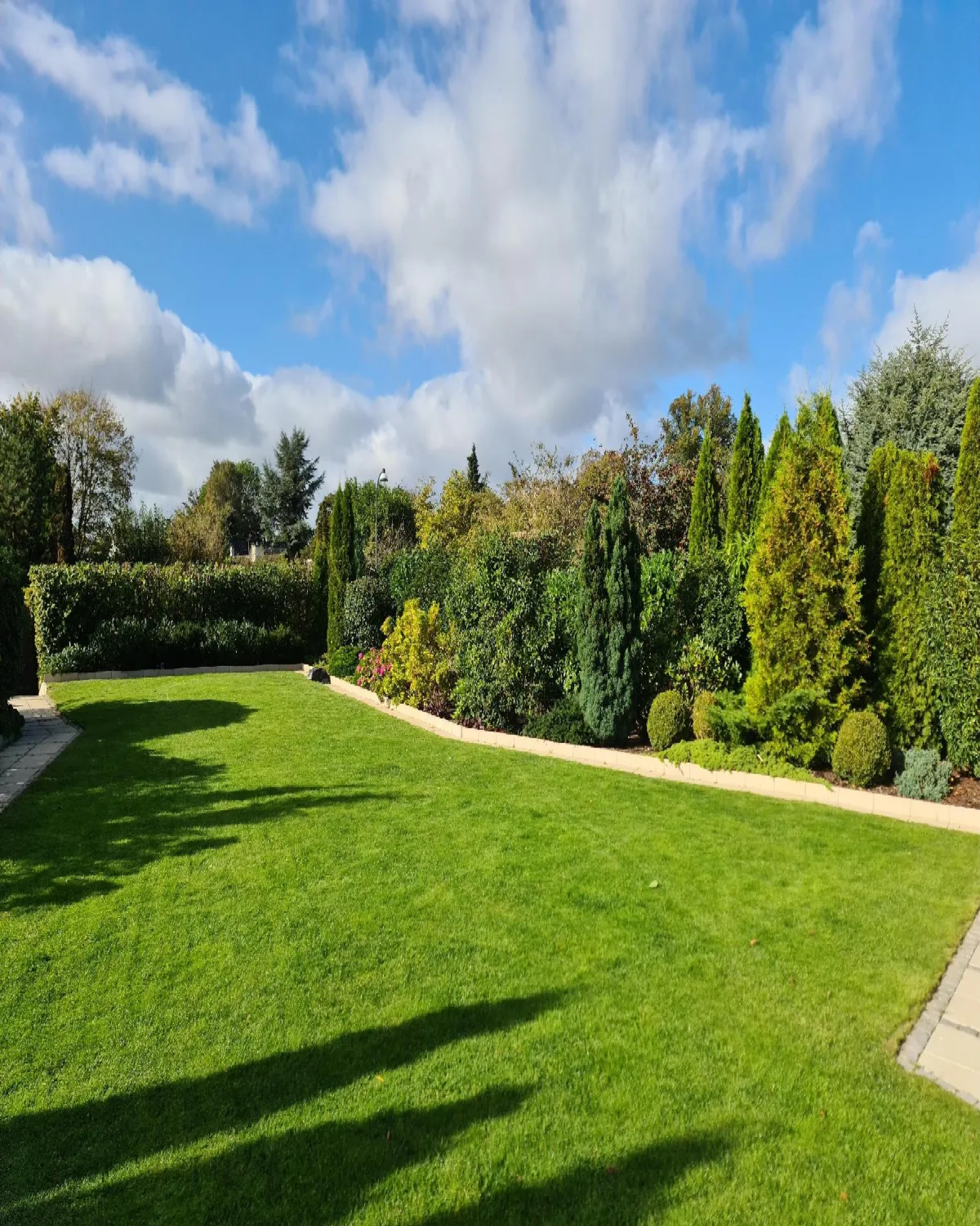 Nyt græsplane - i Københavnsområdet