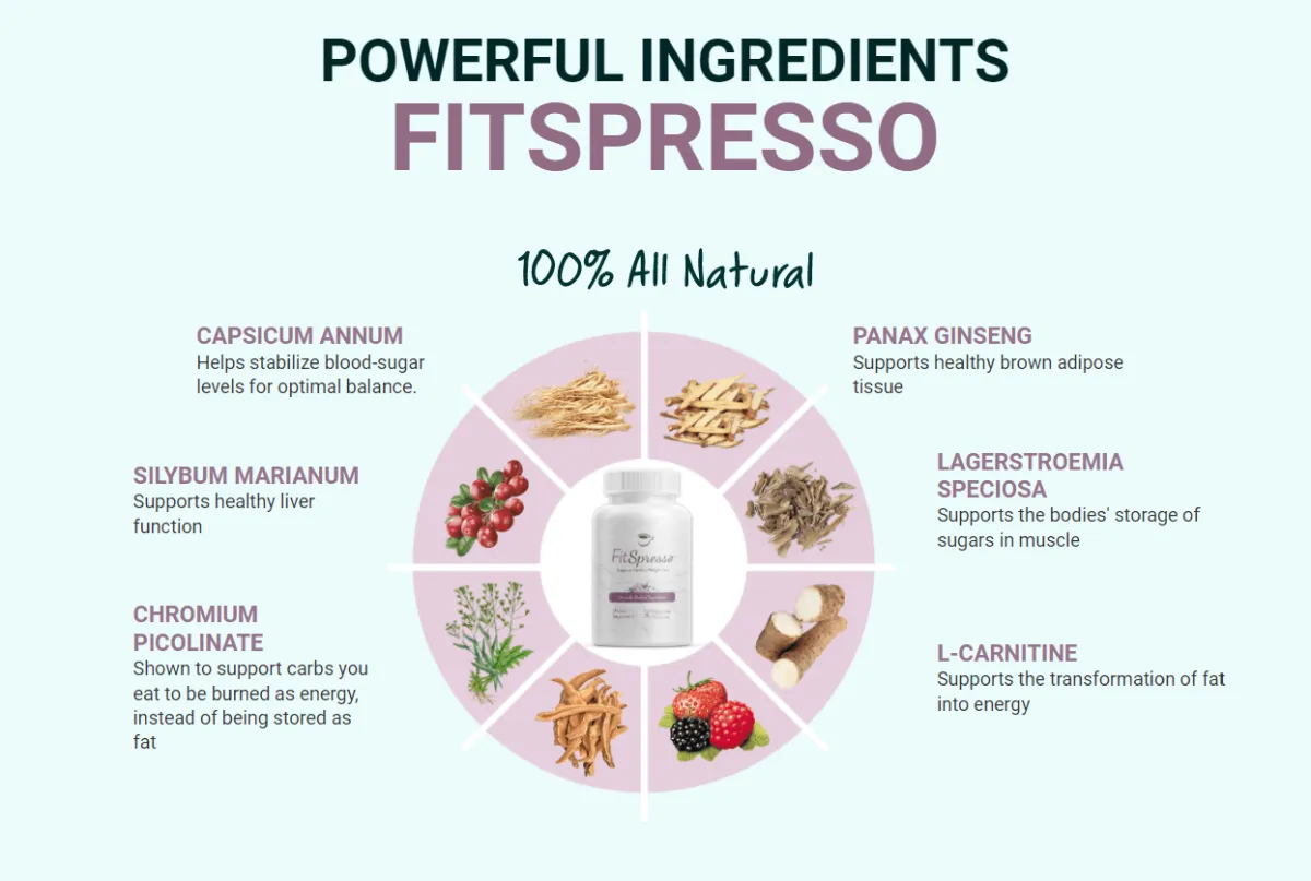 fitspresso ingredients