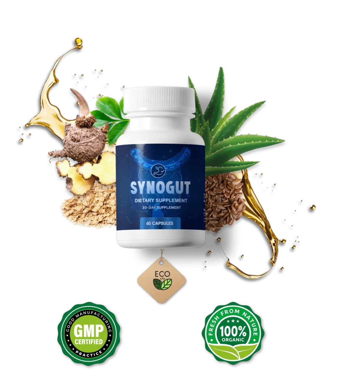 synogut