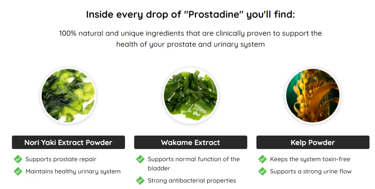 Prostadine Ingredient