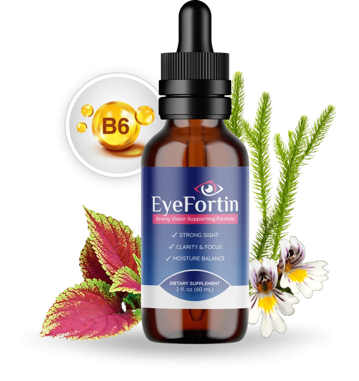 buy Eye Fortin Supplement