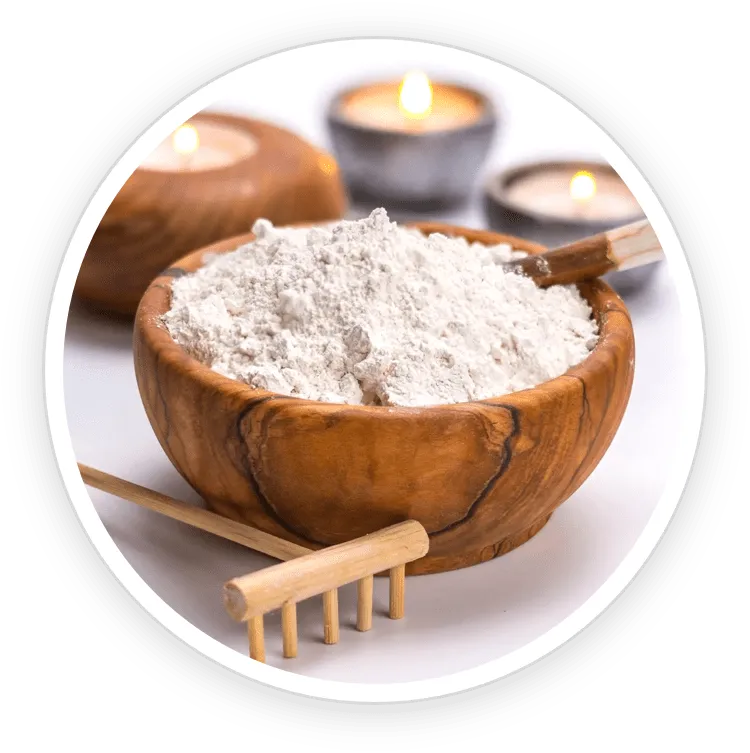 Alpha GPC Powder