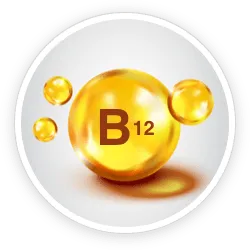 Fast Lean Pro Vitamin B12