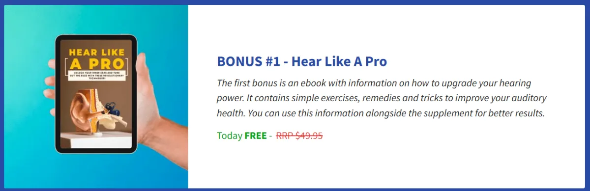 Neuroquiet free bonuse