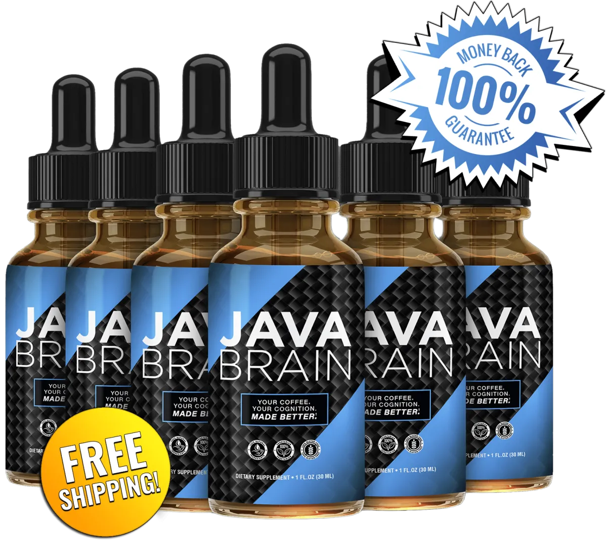 Java Brain Official Website