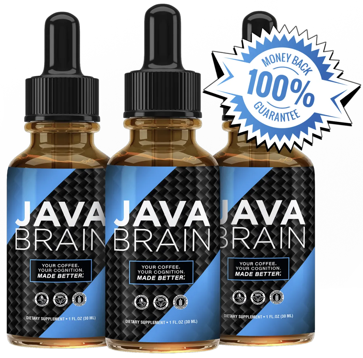 Java Brain