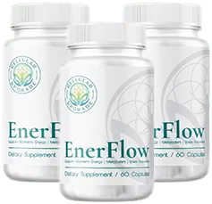 Enerflow