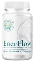 Enerflow official