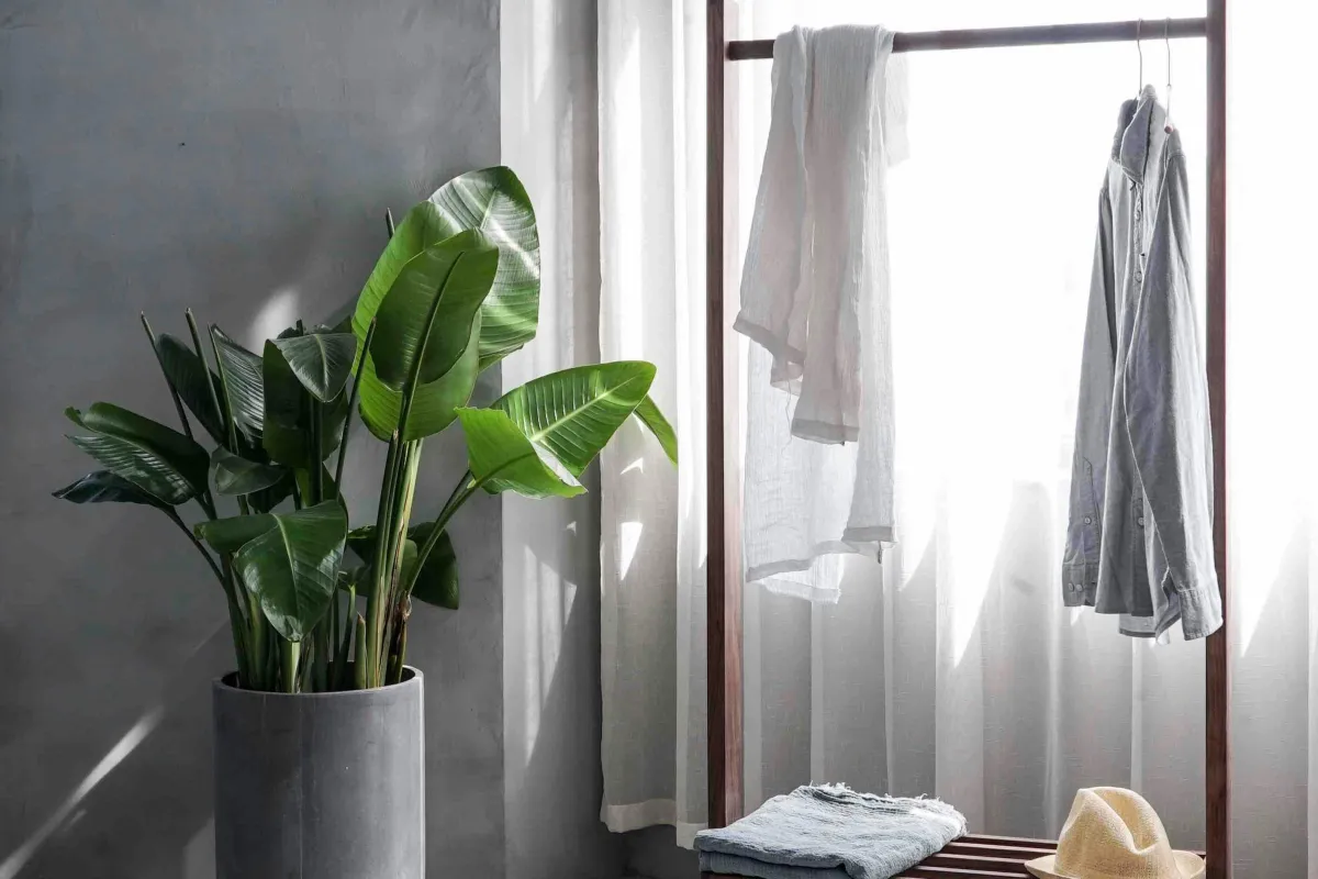 Online Coaching Microphone