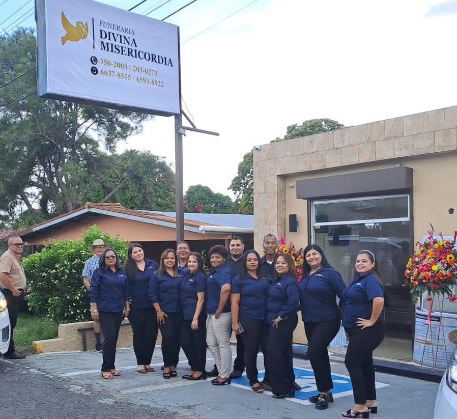 A tree reaches towards a bright sky.