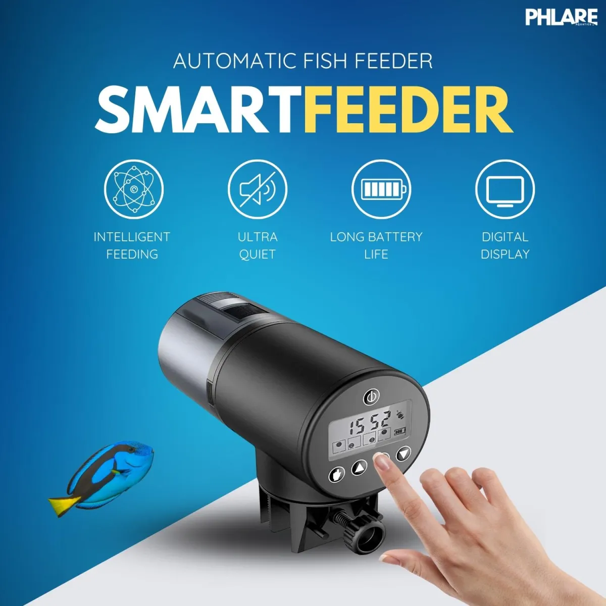 Colorful koi fish swim in water.