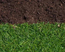 Garden Edging in Toronto