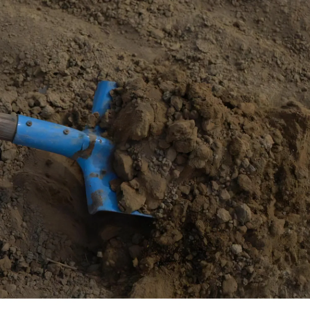 Etobicoke Soil Top Dressing