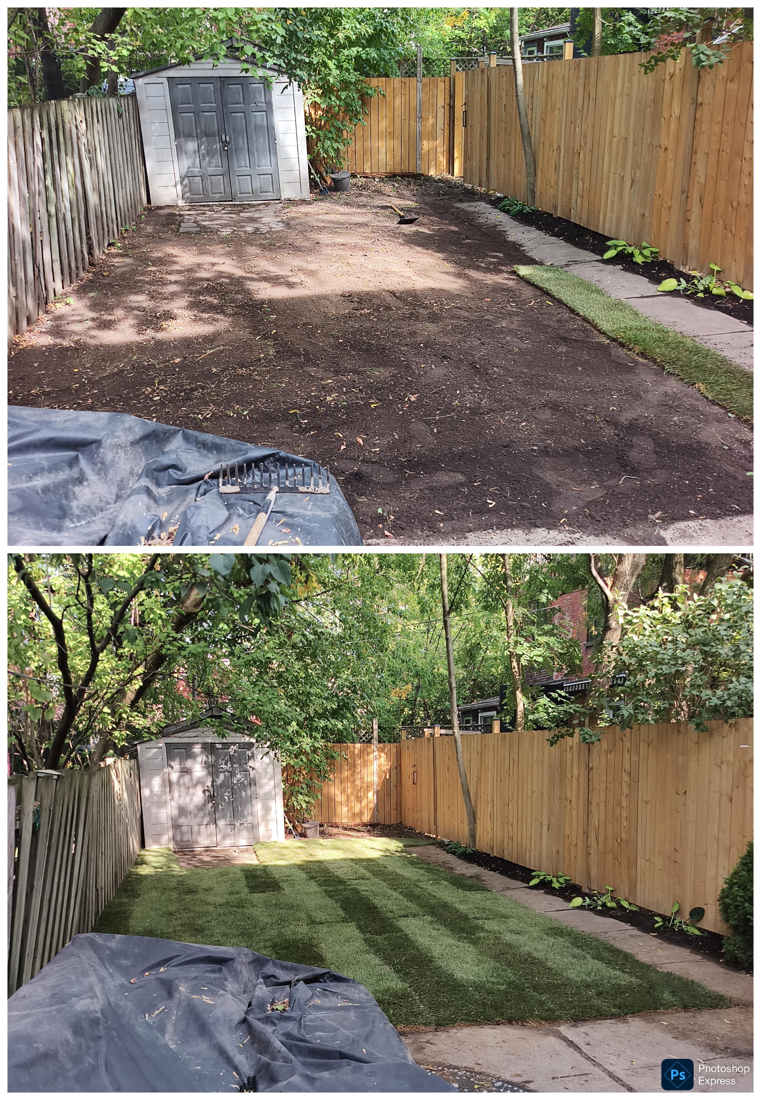 Lawn Dethatching Toronto