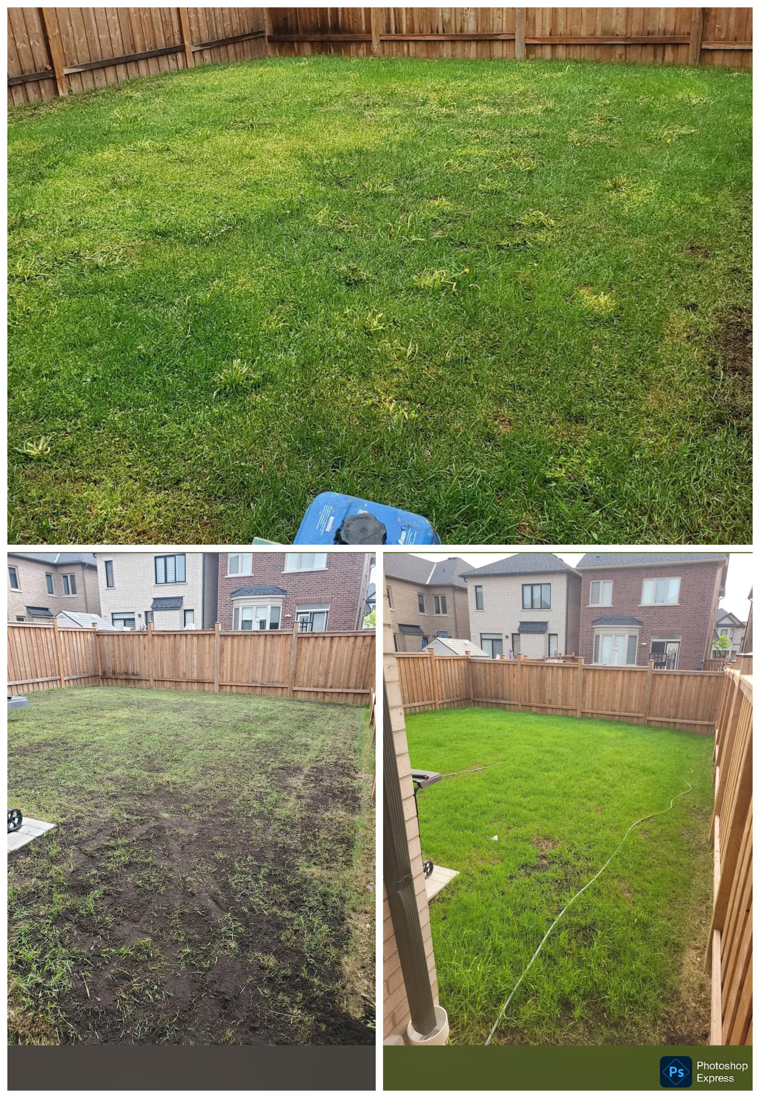 Overseeding Toronto