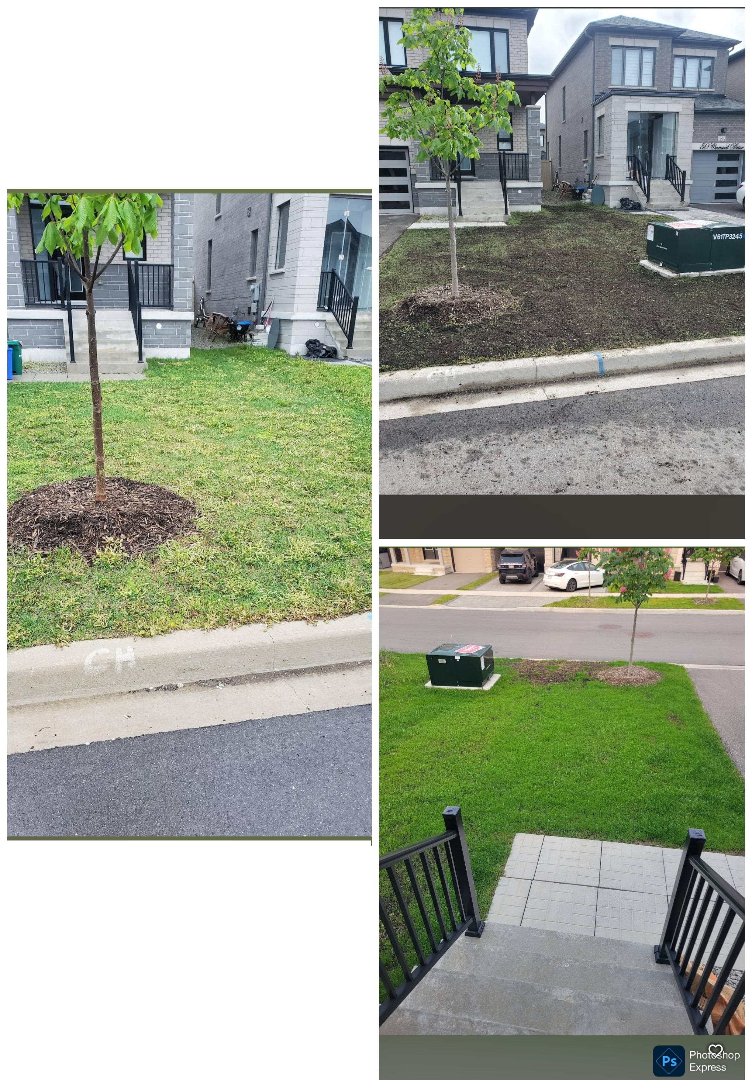 Lawn and Tree Fertilizing Toronto