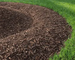 Mississauga Mulch